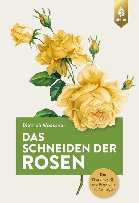Das Schneiden der Rosen (Dietrich Woessner)