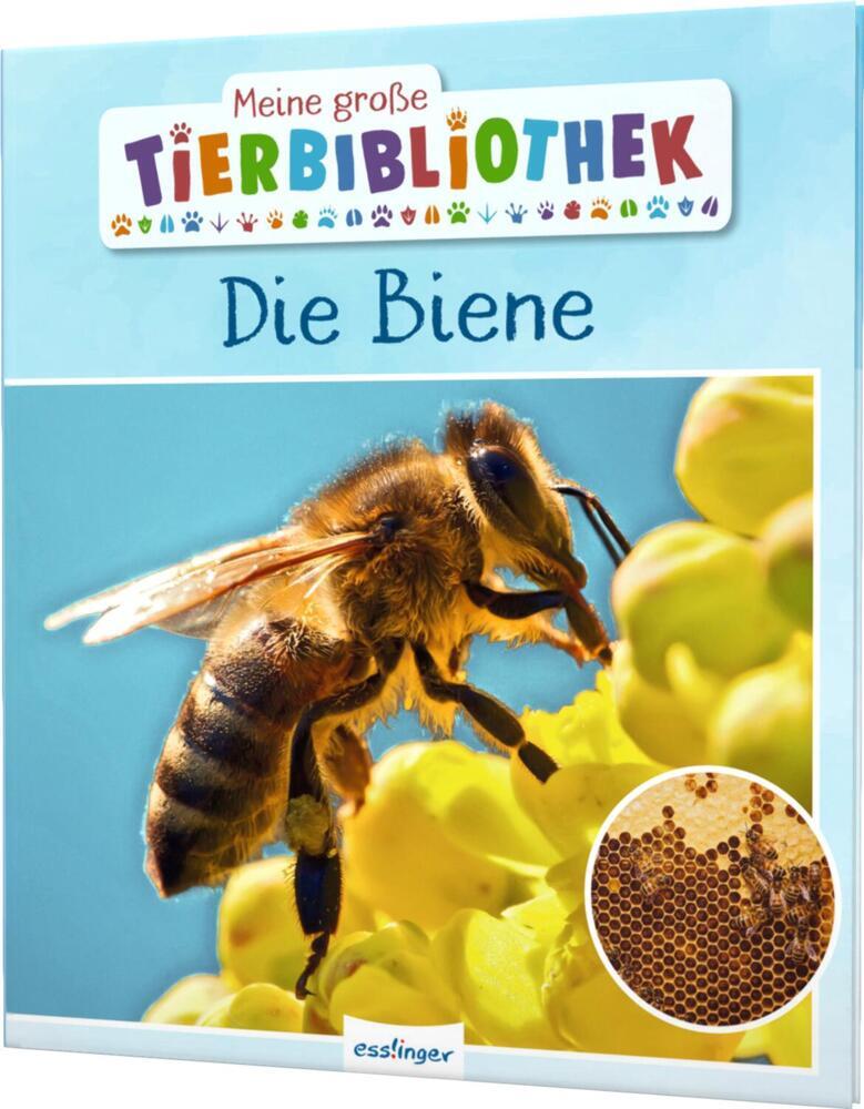 Meine große Tierbibliothek: Die Biene (Paul Starosta)