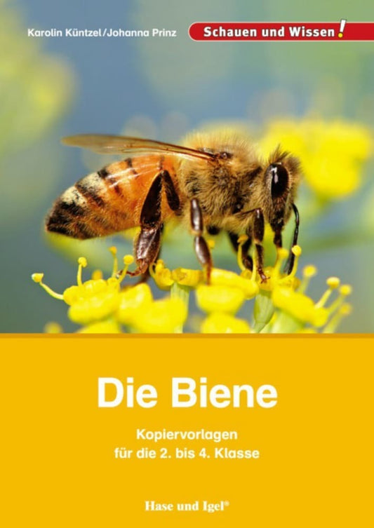 Die Biene - Kopiervorlagen für die 2. bis 4. Klasse (Karolin N. Küntzel)