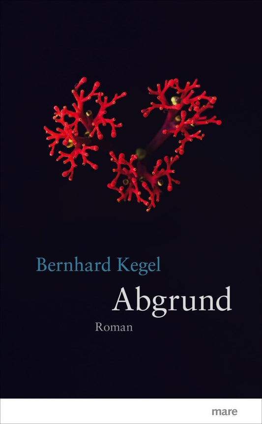 Abgrund (Bernhard Kegel)