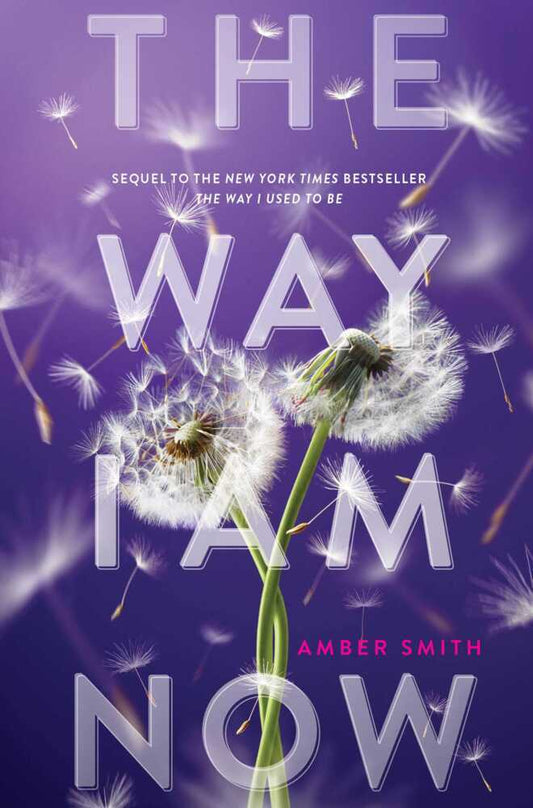 The Way I Am Now (Amber Smith)