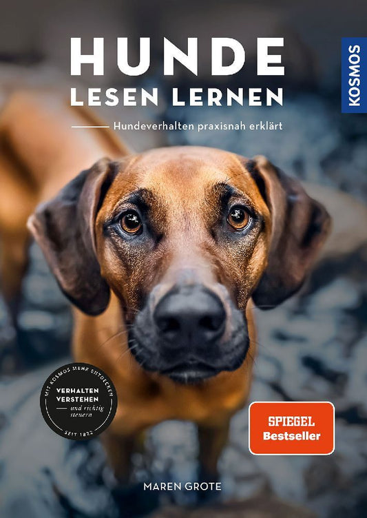 Hunde lesen lernen (Maren Grote)