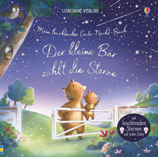 Mein leuchtendes Gute-Nacht-Buch: Der kleine Bär zählt die Sterne (Sam Taplin)