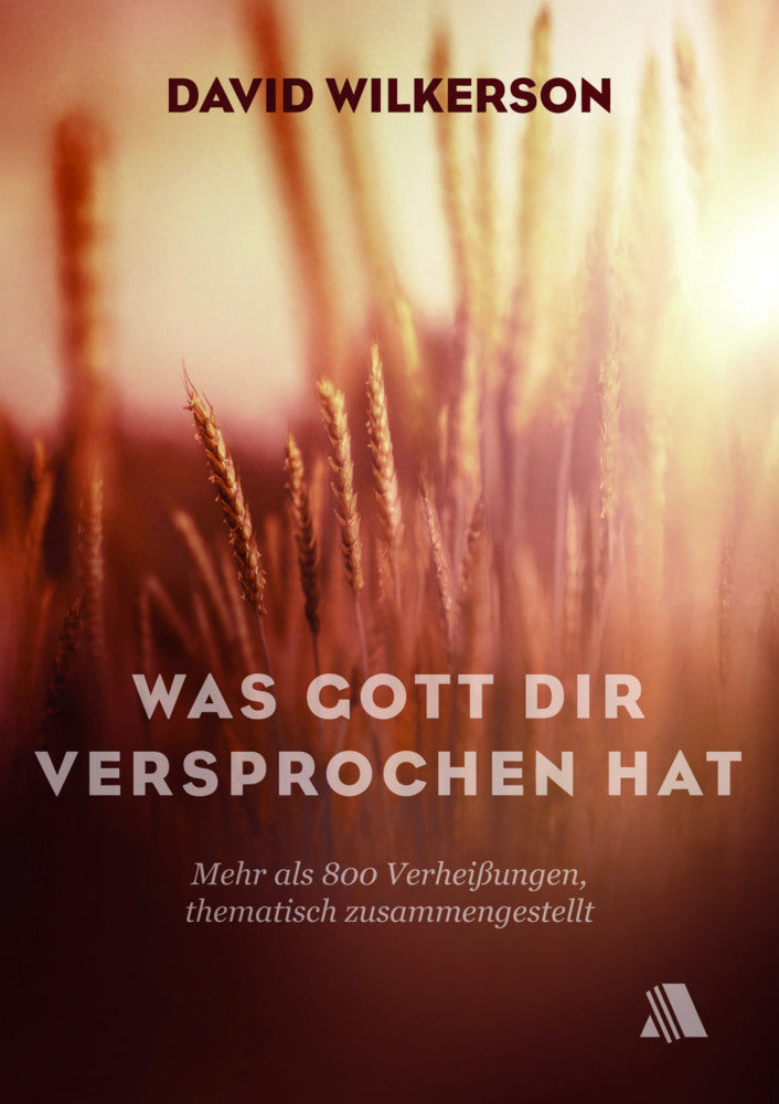 Was Gott dir versprochen hat (David Wilkerson)