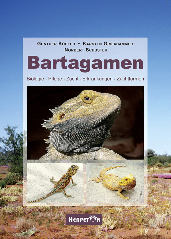 Bartagamen (Gunther Köhler)