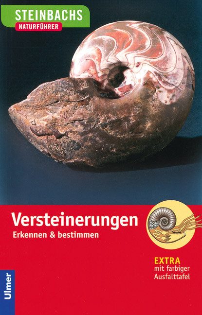 Versteinerungen (Gerhard Lichter)
