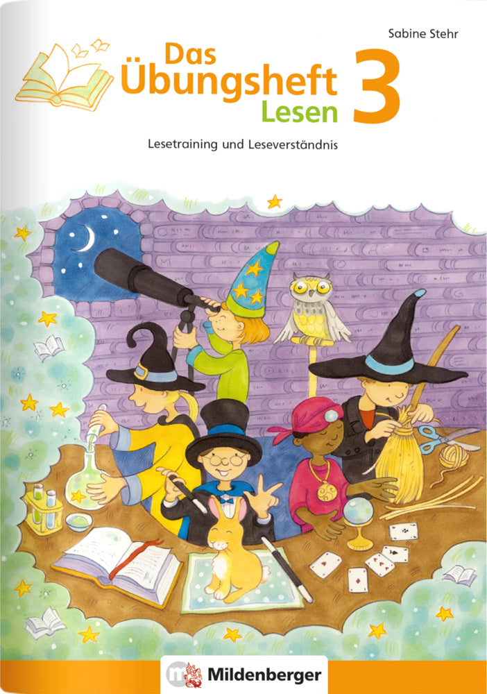 Das Übungsheft Lesen Klasse 3 (Sabine Stehr)