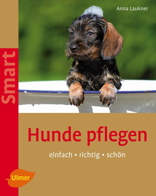 Hunde pflegen (Anna Laukner)