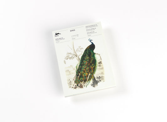 Birds (Pepin Van Roojen)