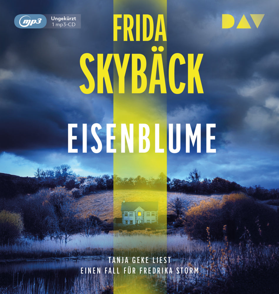Eisenblume. Ein Fall für Fredrika Storm, 1 Audio-CD, 1 MP3 (Frida Skybäck)
