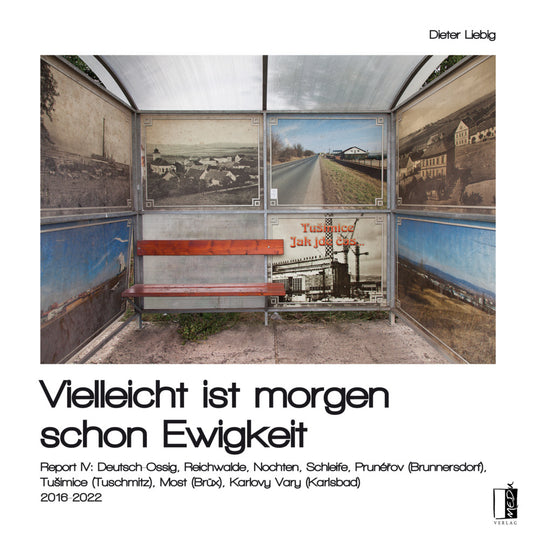 Vielleicht ist morgen schon Ewigkeit (Dieter Liebig)