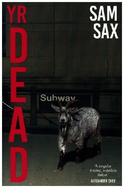 Yr Dead (Sam Sax)