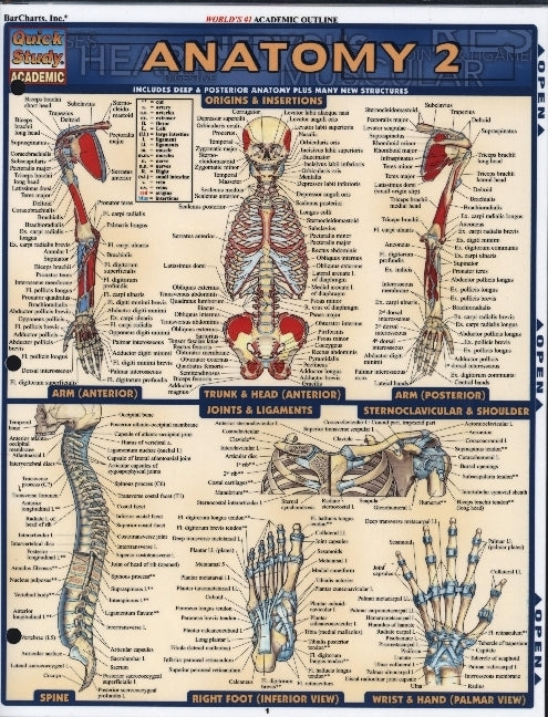 Anatomy 2 - Reference Guide (8.5 x 11) (Vincent Perez)