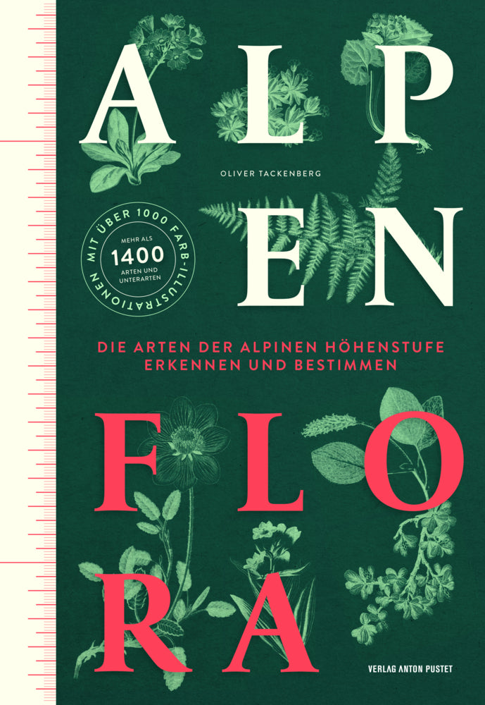 Alpenflora (Oliver Tackenberg)