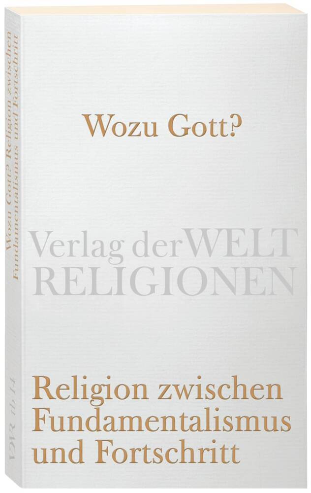 Wozu Gott? Religion zwischen Fundamentalismus und Fortschritt (Peter Kemper)