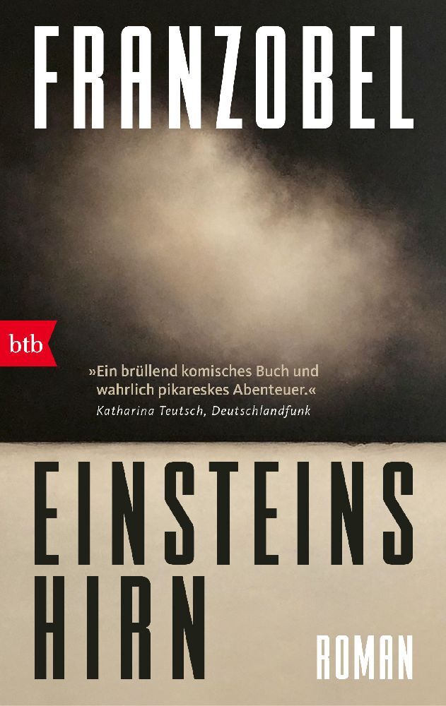 Einsteins Hirn (Franzobel)
