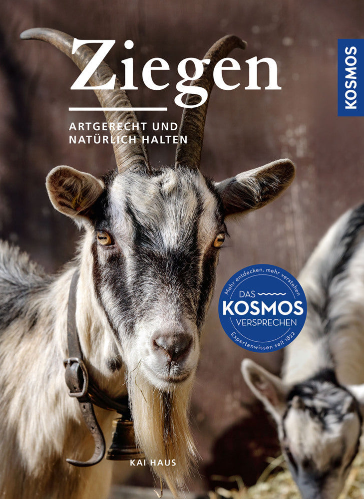 Ziegen (Kai Haus)