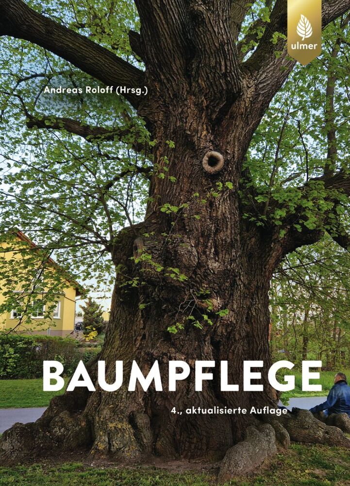 Baumpflege (Andreas Roloff)