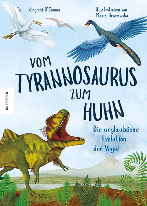 Vom Tyrannosaurus zum Huhn (Jingmai O'Connor)