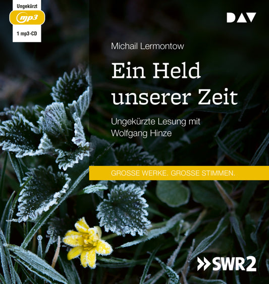 Ein Held unserer Zeit, 1 Audio-CD, 1 MP3 (Michail Jurjewitsch Lermontow)