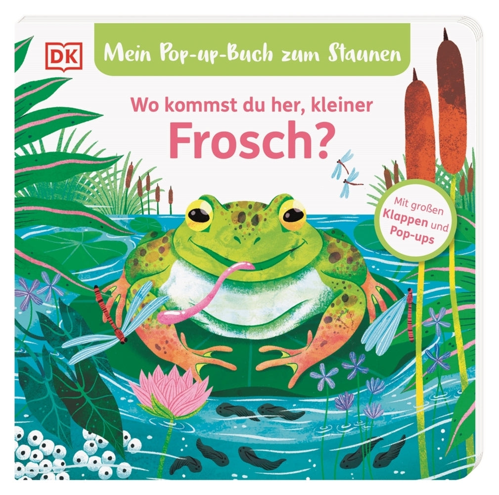 Mein Pop-up-Buch zum Staunen. Wo kommst du her, kleiner Frosch? (Sandra Grimm)