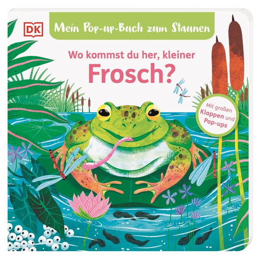Mein Pop-up-Buch zum Staunen. Wo kommst du her, kleiner Frosch? (Sandra Grimm)