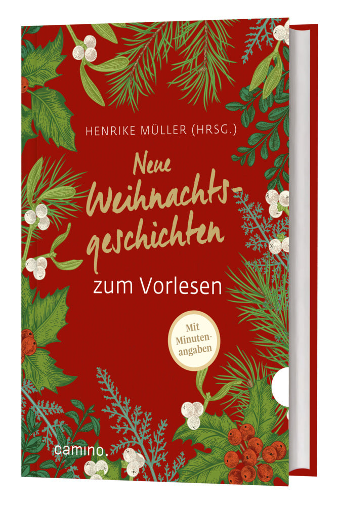 Neue Weihnachtsgeschichten zum Vorlesen (Henrike Müller)