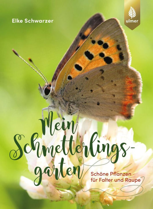 Mein Schmetterlingsgarten (Elke Schwarzer)