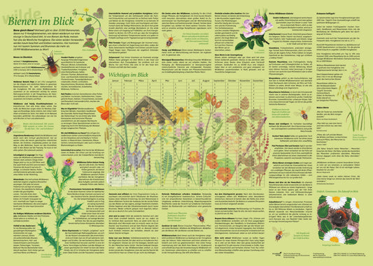Erlebnisposter "Bienen im Blick" (Doris Schönhoff)