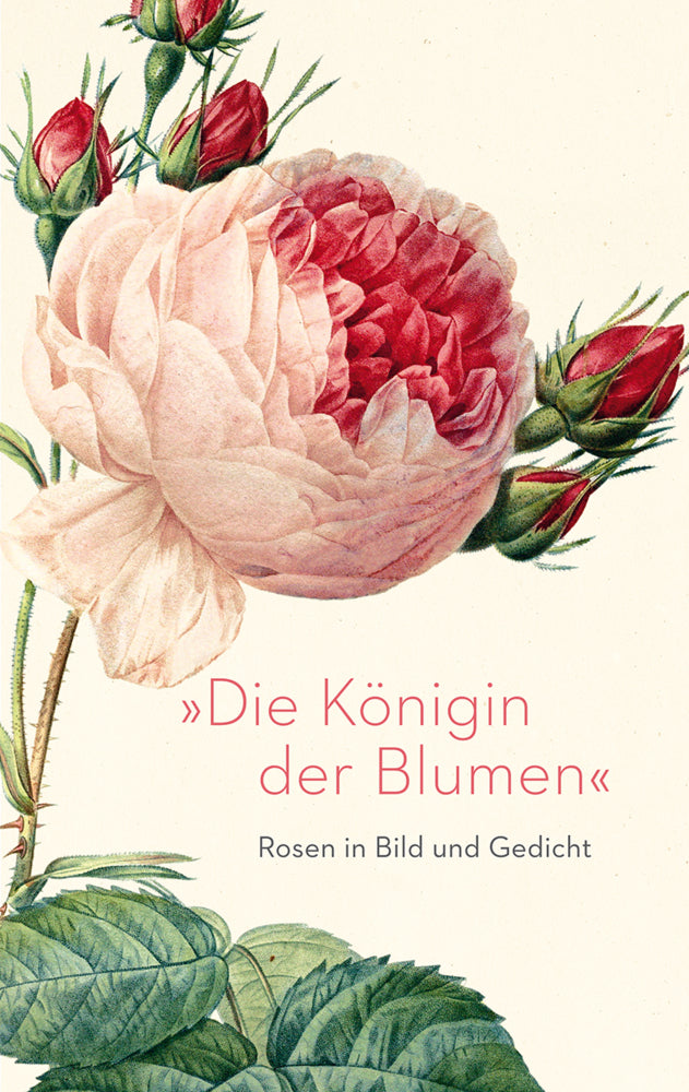 »Die Königin der Blumen« (Eva Hoffmeier)