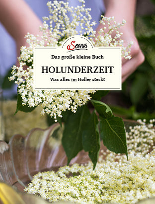Das große kleine Buch: Holunderzeit (Brigitta Klaushofer)