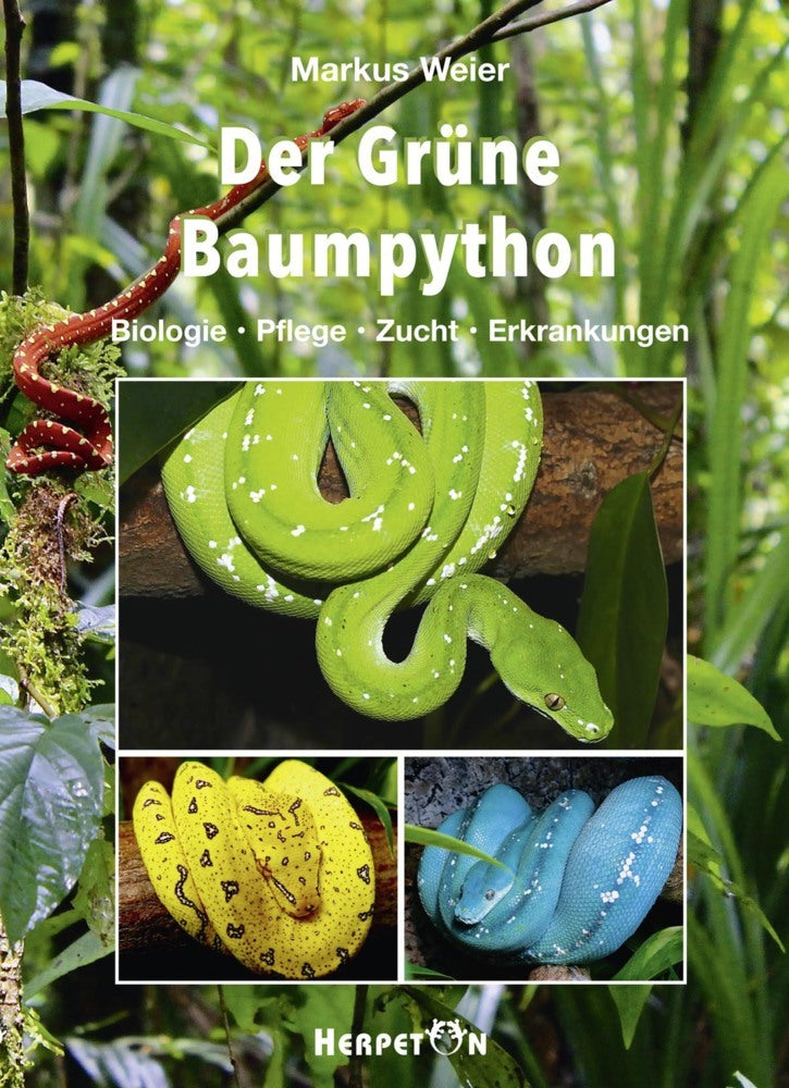 Der Grüne Baumpython (Markus Weier)