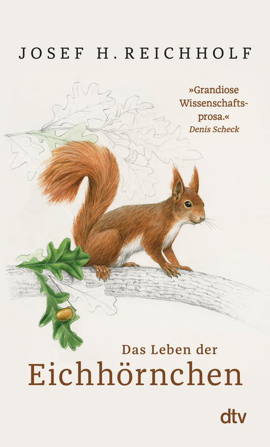 Das Leben der Eichhörnchen (Josef H. Reichholf)