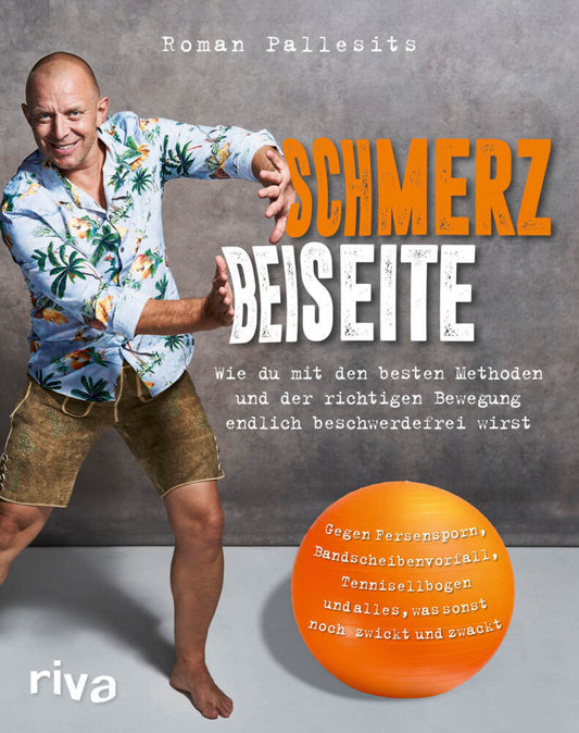 Schmerz beiseite (Roman Pallesits)