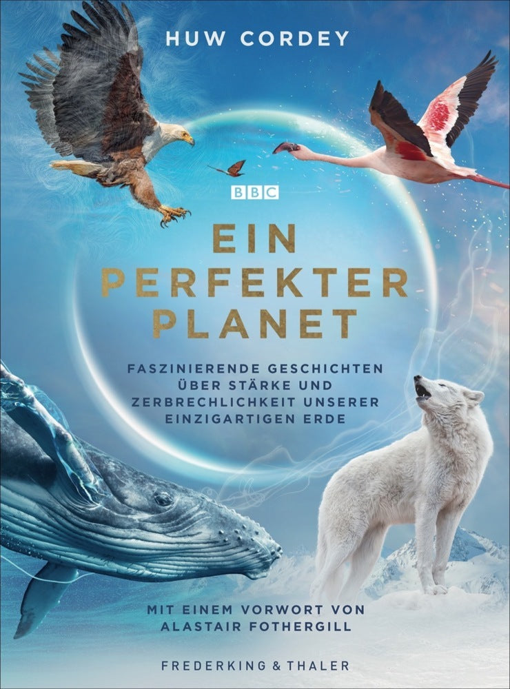 Ein perfekter Planet (Huw Cordey)