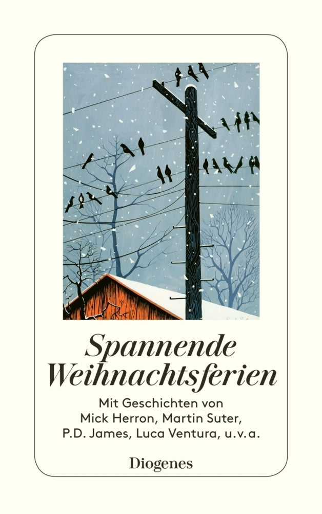 Spannende Weihnachtsferien (Shelagh Armit)