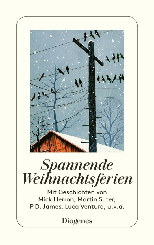 Spannende Weihnachtsferien (Shelagh Armit)