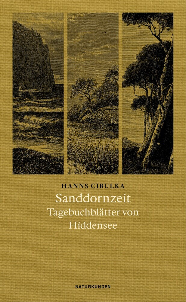 Sanddornzeit (Hanns Cibulka)