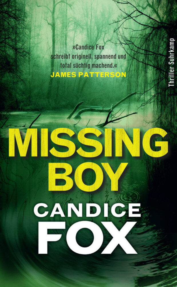 Missing Boy (Candice Fox)