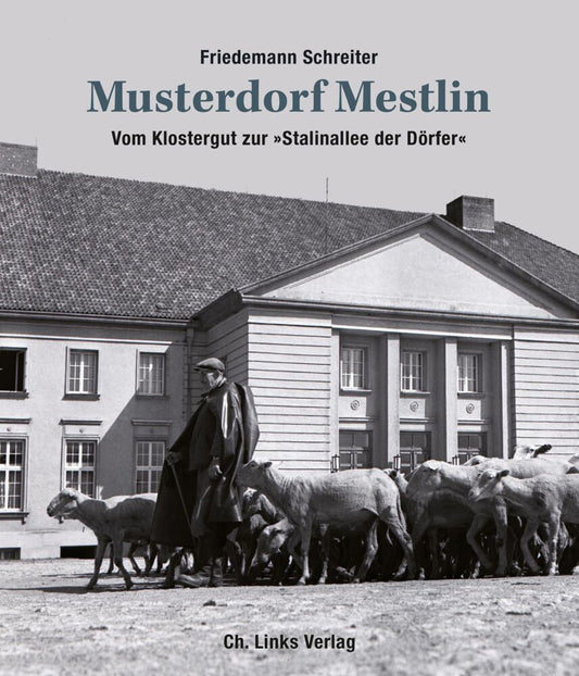 Musterdorf Mestlin (Friedemann Schreiter)