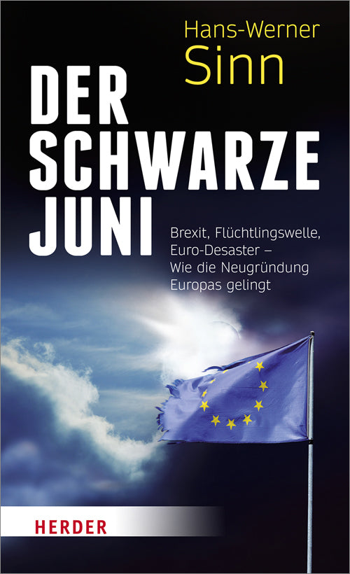 Der Schwarze Juni (Hans-Werner Sinn)