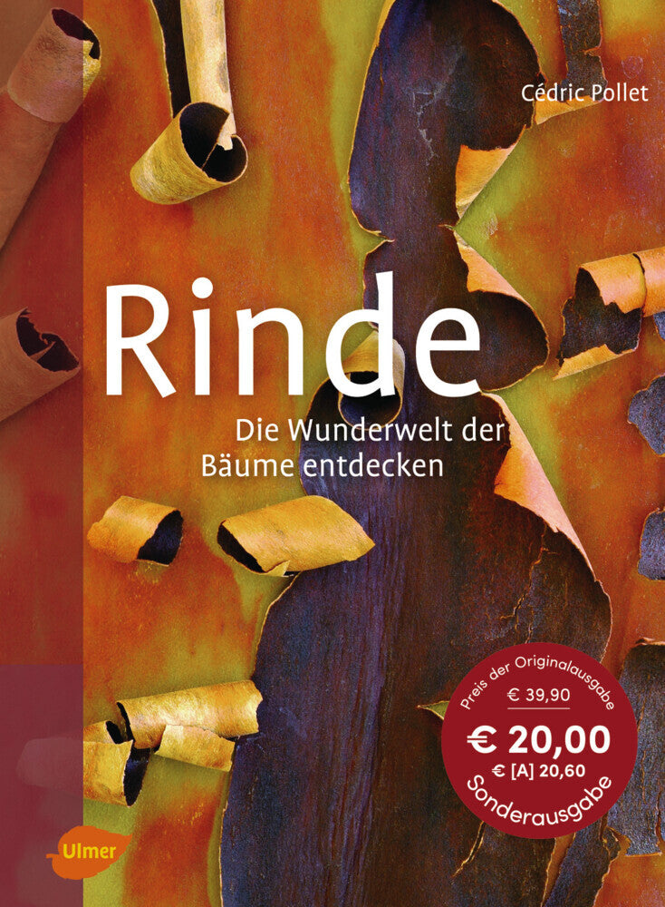 Rinde (Cédric Pollet)