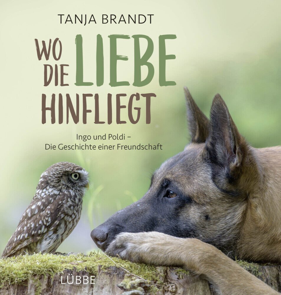 Wo die Liebe hinfliegt (Tanja Brandt)