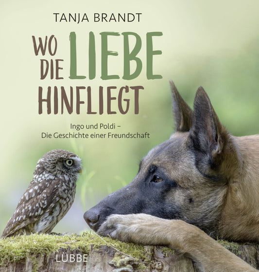 Wo die Liebe hinfliegt (Tanja Brandt)