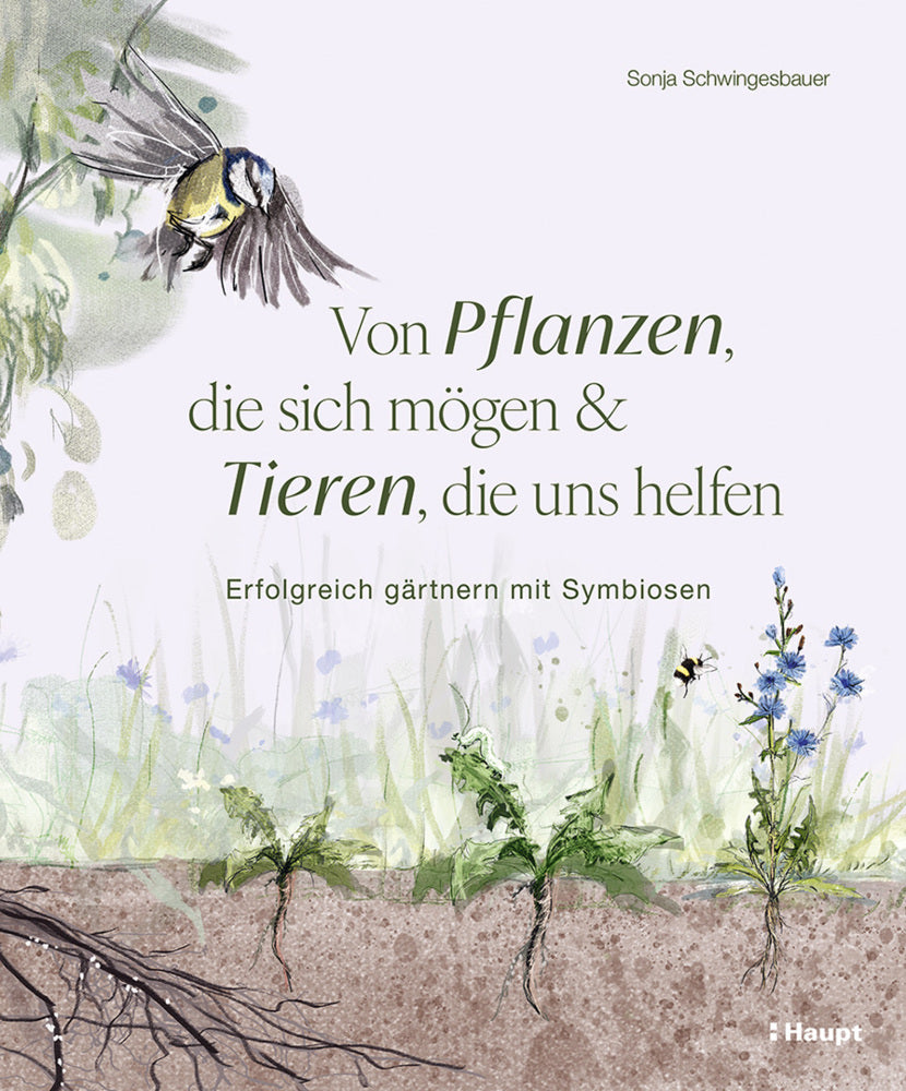 Von Pflanzen, die sich mögen und Tieren, die uns helfen (Sonja Schwingesbauer)