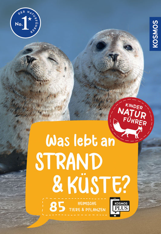 Was lebt an Strand und Küste? Kindernaturführer (Holger Haag)
