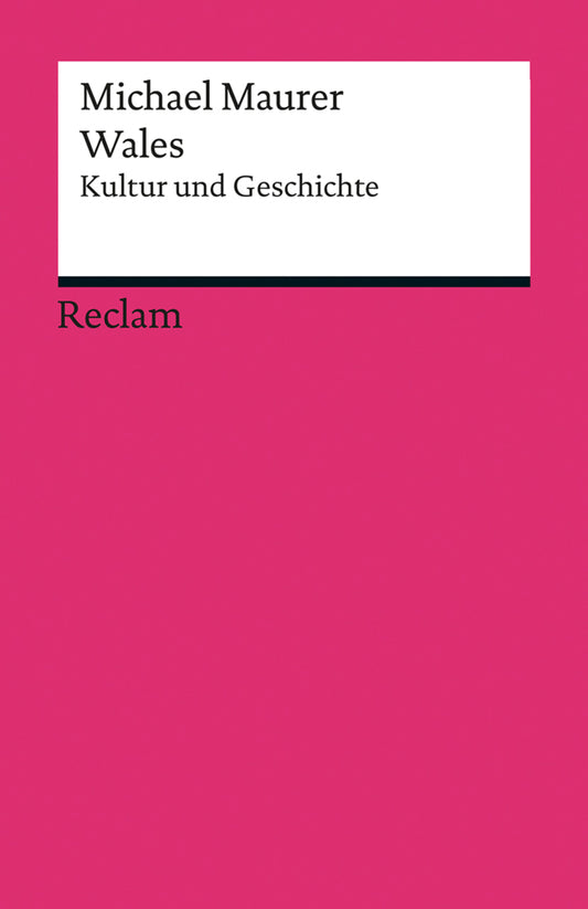 Wales. Kultur und Geschichte (Michael Maurer)