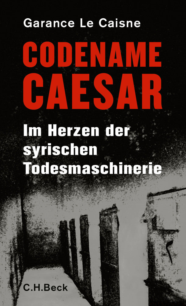 Codename Caesar (Garance Le Caisne)