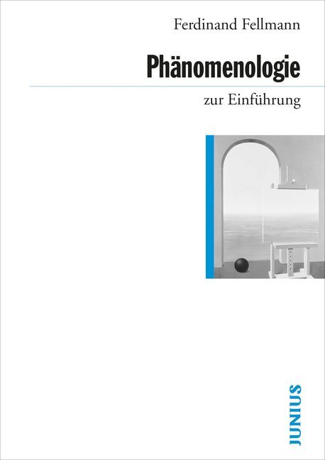 Phänomenologie zur Einführung (Ferdinand Fellmann)