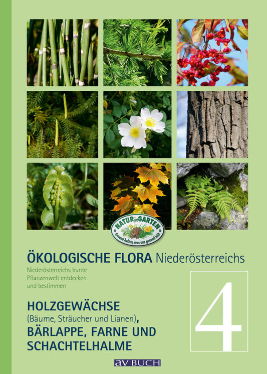 Ökologische Flora Niederösterreichs.Bd.4 (Wolfgang Holzner)